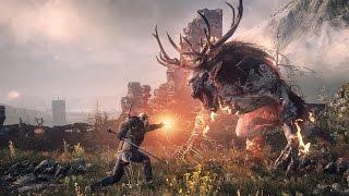 The Witcher 3: Wild Hunt #11 Дела семейные.