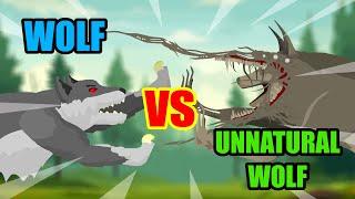Unnatural Wolf vs Wolf | Unnatural Habitat Animals Animation