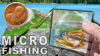 Micro Fishing for Tiny Fish With Tiny Telescoping Tanago Rod & Super Tiny Hooks