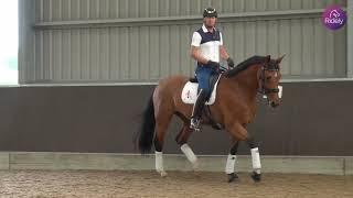 Creating Expression in the Trot with Gareth Hughes