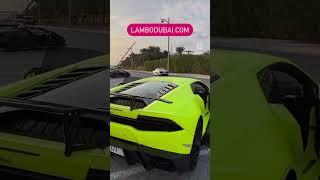 "Дикая львица": аренда Lamborghini в Дубае