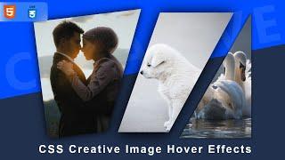 CSS Creative Image Hover Effects | Using CSS Clip Path to Create Awesome Effects | @VetrivelRavi