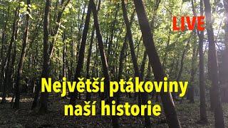 Badatelé živě: Největší ptákoviny naší historie