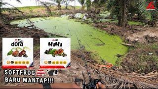 MANCING HARUAN GUNA SOFT FROG BARU EXP TERNYATA BERHASIL!!!!