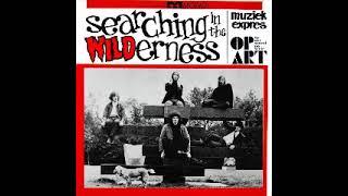 Various – Searching In The Wilderness 60's Worldwide Garage/Punk Beat R&B Music Album Compilation LP