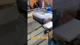 DIY Top Filter With Spillway #diy #fish #aquarium #aquariumfilter #shorts #aquariumfishtank