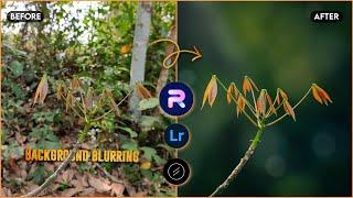 How to Blur Image Background and Lightroom Color Grading | PhotoRoom Editing | Lens Distortions Edit