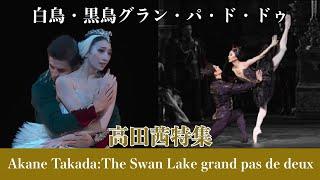 【高田茜特集】白鳥・黒鳥アダジオ| Best of Akane Tanaka, Swan lake Adadio and more