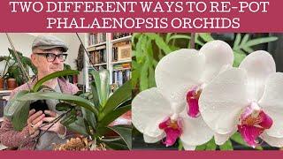 How to re-pot Phalaenopsis: two ways I re-pot my Moth Orchids