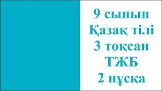 9 сынып Қазақ тілі 3 тоқсан ТЖБ 2 нұсқа