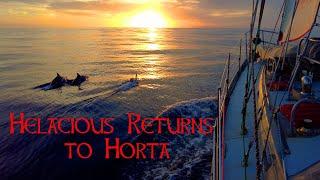 Return to Horta