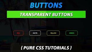 Transparent Button With Border Using CSS Create by VRPawar