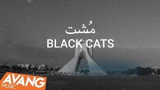 Black Cats - Mosht OFFICIAL VIDEO | بلک کتس - مشت