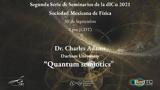 Quantum semiotics