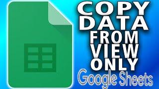 How To Copy Data From View Only Google Sheet (full guide)