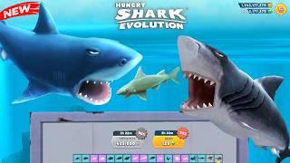 Hungry Shark - Unlocking all sharks in hungry sharks evolution 2024 - Shark Game