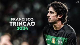 Francisco Trincão 2024 - Amazing Skills, Assists & Goals - Sporting | HD