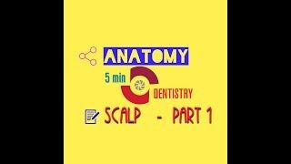 SCALP - Human Anatomy - Part 1 - 5 min dentistry.