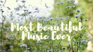 Most Beautiful Music Ever #music #beautifulmusic #beautifulrelax