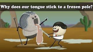 Why does your tongue stick to a frozen pole? | #aumsum #kids #science #education #children