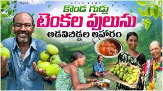 Wild mango curry : కొండల్లోదొరికే టెంకల పులుసు| గిరిజనుల ప్రత్యేక వంటకం @MyluRams