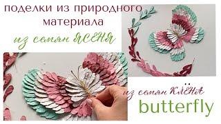 Бабочка из природного материала ИЗ семян клена Ясеня вертолетики крылатки butterfly КРАСИВАЯ ПОДЕЛКА