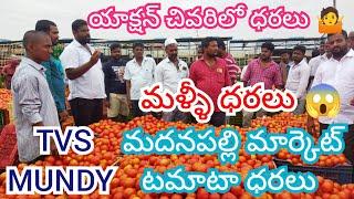 25/12/24 Madanapalle Tomato Market Price Today || Today Tomato Market Rate In Madanapalle #today