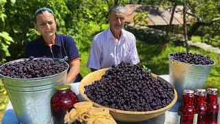 Harvesting Wild Blackberries in the Mountains and made Blackberry Pie and Jam in Village