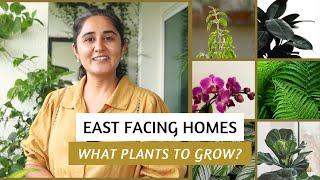 Plants for East Facing Areas | Garden Up Basics Ep.38