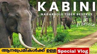 കബനി വന്യജീവി സങ്കേതം ഒരത്ഭുതം തന്നെയാണ്  | Kabini Forest Safari | Nagarhole Tiger Reserve #PART2