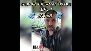 INDOOR GROW GUIDE EP.1 | FIRST TIP CHECK YOUR WATER! | GROWING MADE EASY