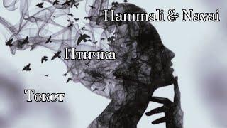 Hammali & Navai - Птичка { lyrics }