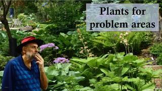 Solve Garden Problems with Plants - Select the Right Plant