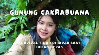 Survival Tidur Di Bivak Hujan Deras dan Makan Tumbuhan Hutan || Eiger WJSC 2024 Part 2