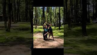 #pinus loji lereng kelud #travelvlog