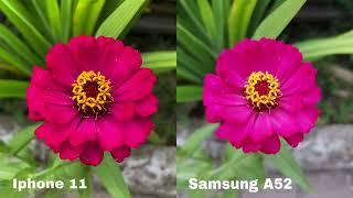 Iphone 11 vs Samsung A52 camera photo