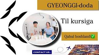 Gyeonggi-doda teleks viza til kursi qabullar boshlanmoqda | Uz International kompaniyasi Korea