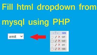 dynamic dropdown in HTML and fetching data from mysql using php