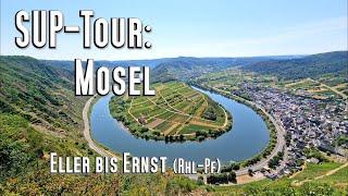 SUP-Tour: Die Mosel von Ediger Eller bis Ernst, 18km durch die Weinberge und Winzerorte. Kanu, Kajak