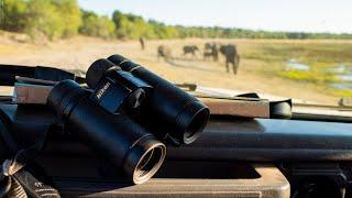 In my Wildlife Photography travel bag, Safari edition 2019! Nikon Wildlife Photo Gear.