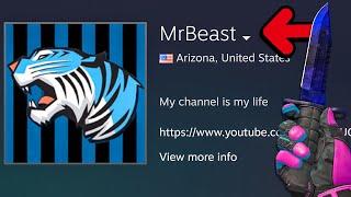 REVIEWING MR BEASTS STEAM ACCOUNT!