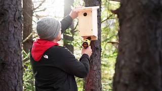 Preparing for a WILD SPRING at my Wildlife Homestead