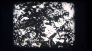Castle Films: 'Killer Gorilla' [8mm film transfer]