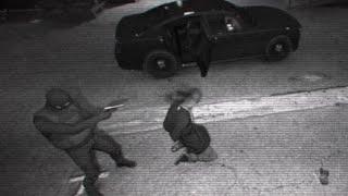Realistic GTA 5 Euphoria CCTV Executions