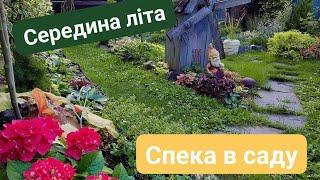 Липнева спека. Літо в саду.