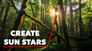 How to Create a Sunstar in YOUR Photos!