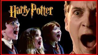 Bully Maguire bullies Harry Potter