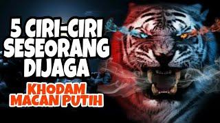 5 CIRI-CIRI SESEORANG DIJAGA KHODAM MACAN PUTIH