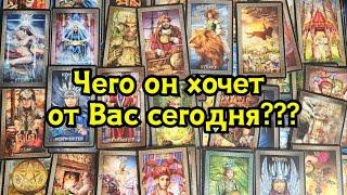 Чего он хочет от Вас сегодня? 