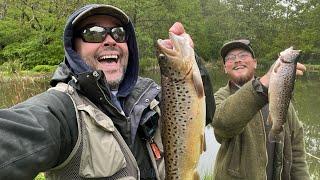 Spring Hill Trout Waters - Cracking Days Sport And Subscriber Meet Up